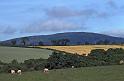 WT 2900 339-02 Ireland